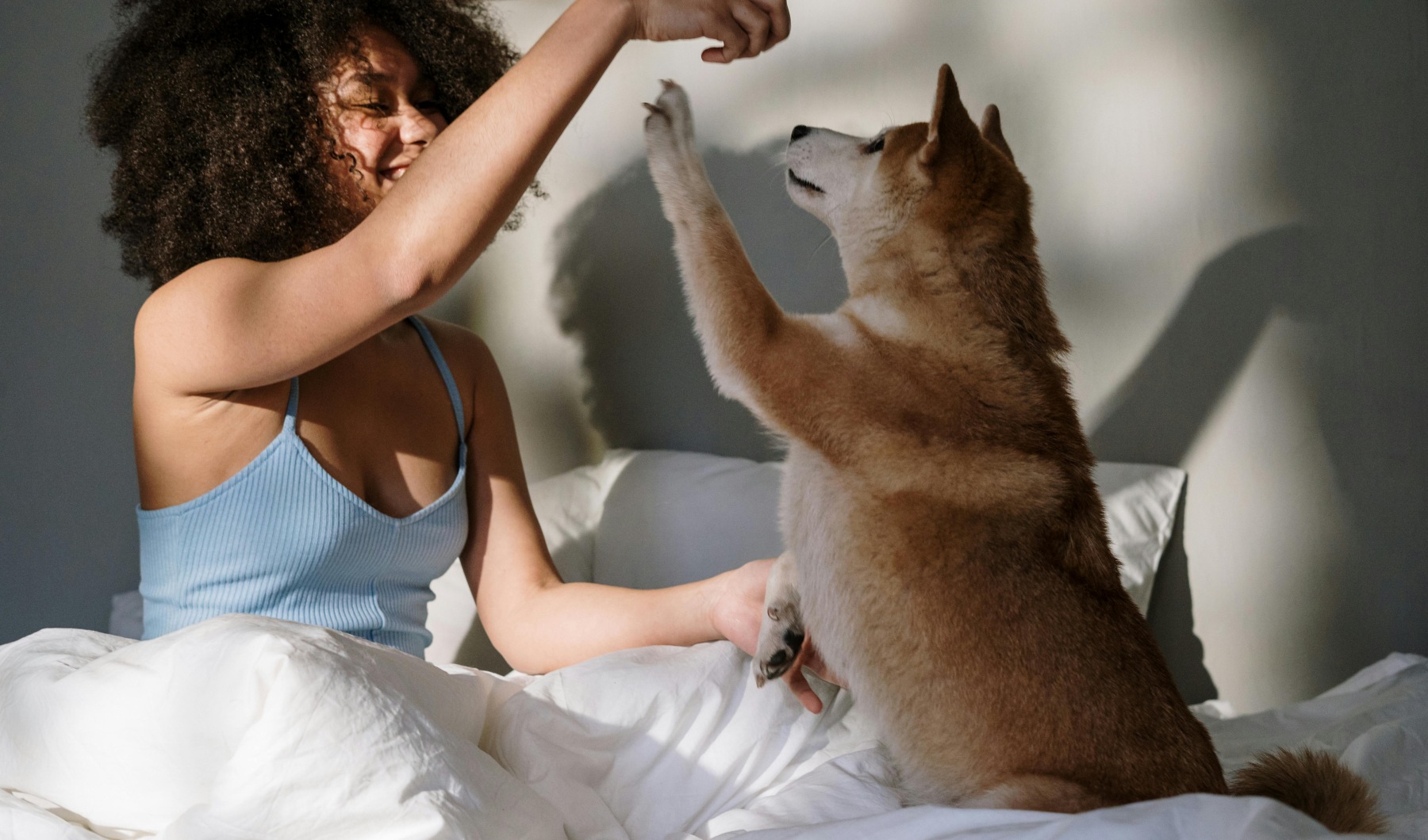 pet-friendly apartments Germantown MD