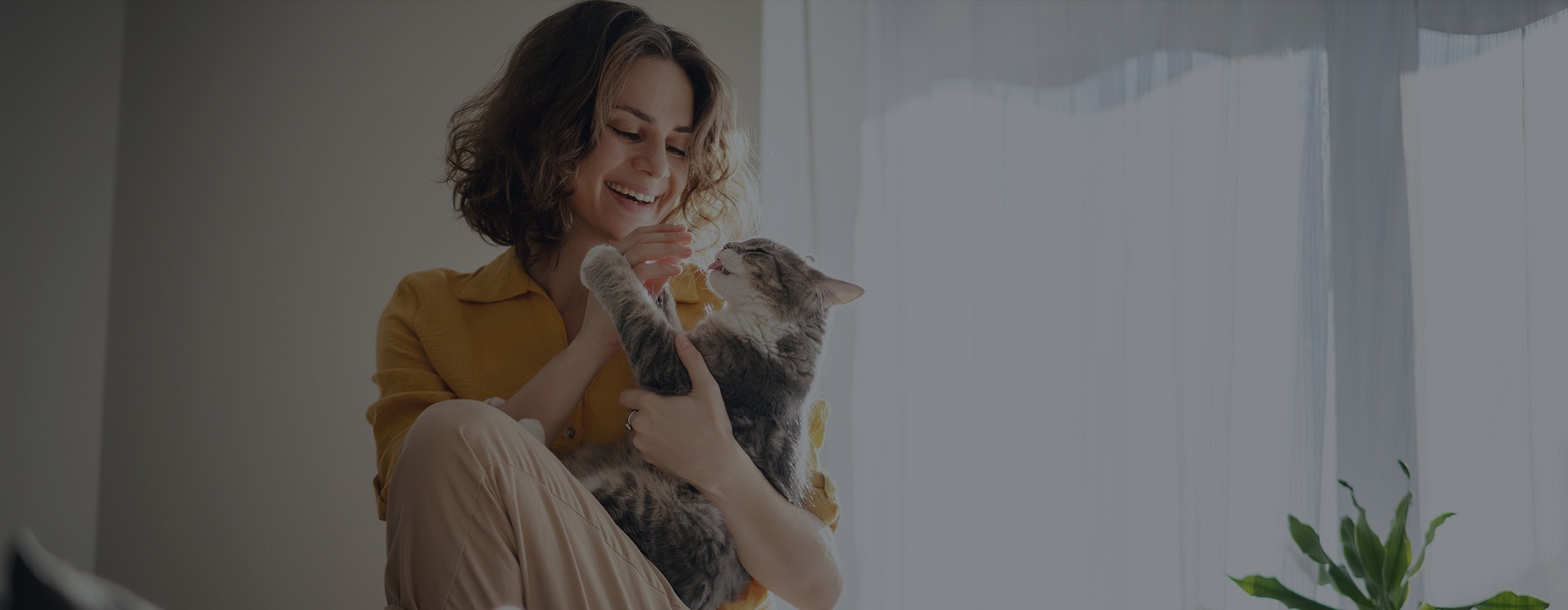 lifestyle image of a woman petting a cat